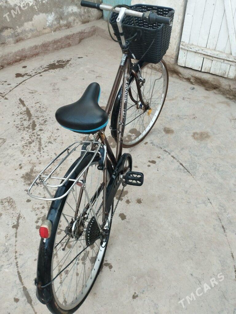 27 Tigir - Tejen - img 2