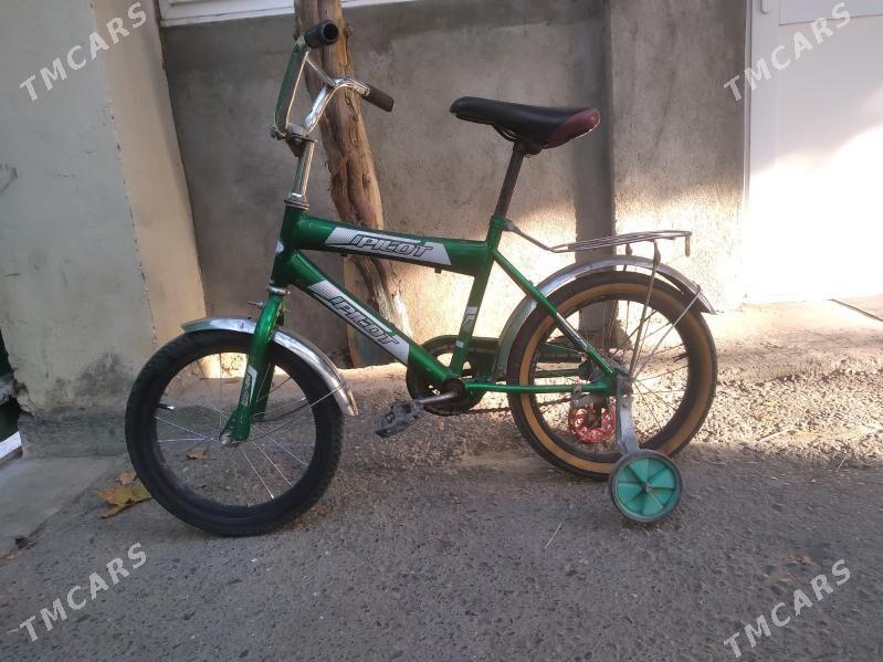 kici caga tigir gyssagly 16lyk - Bedew - img 2