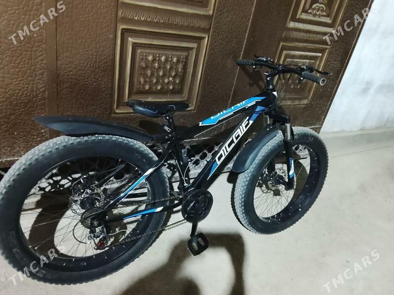 Tigir - Байрамали - img 5