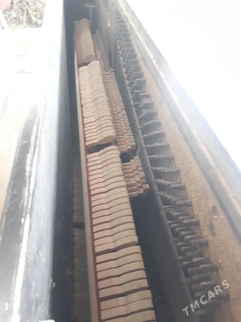 Pianino belarus - Ашхабад - img 1