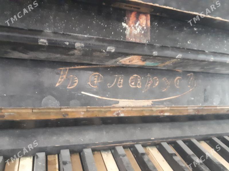 Pianino belarus - Ашхабад - img 5