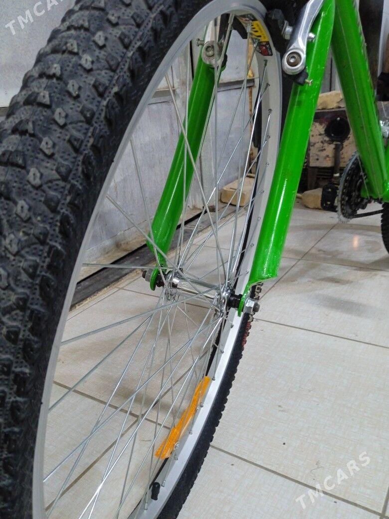 Turkmenistan Tigir - Köşi - img 4