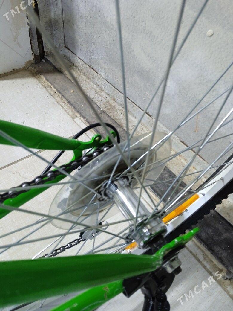 Turkmenistan Tigir - Köşi - img 9