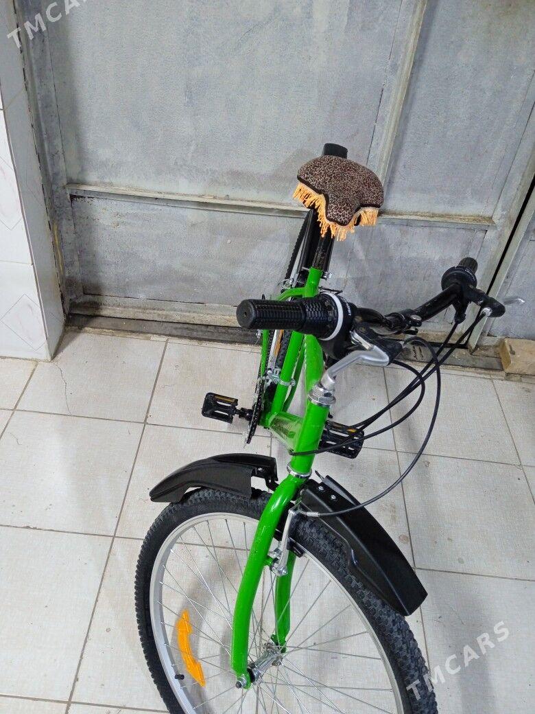 Turkmenistan Tigir - Köşi - img 7