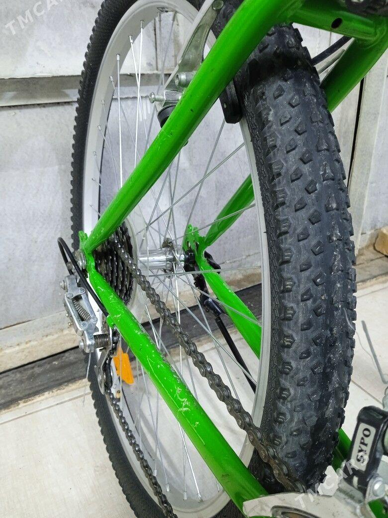 Turkmenistan Tigir - Köşi - img 8