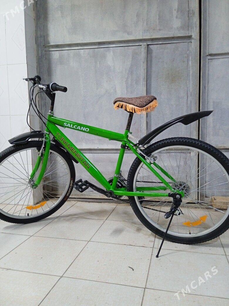 Turkmenistan Tigir - Köşi - img 2