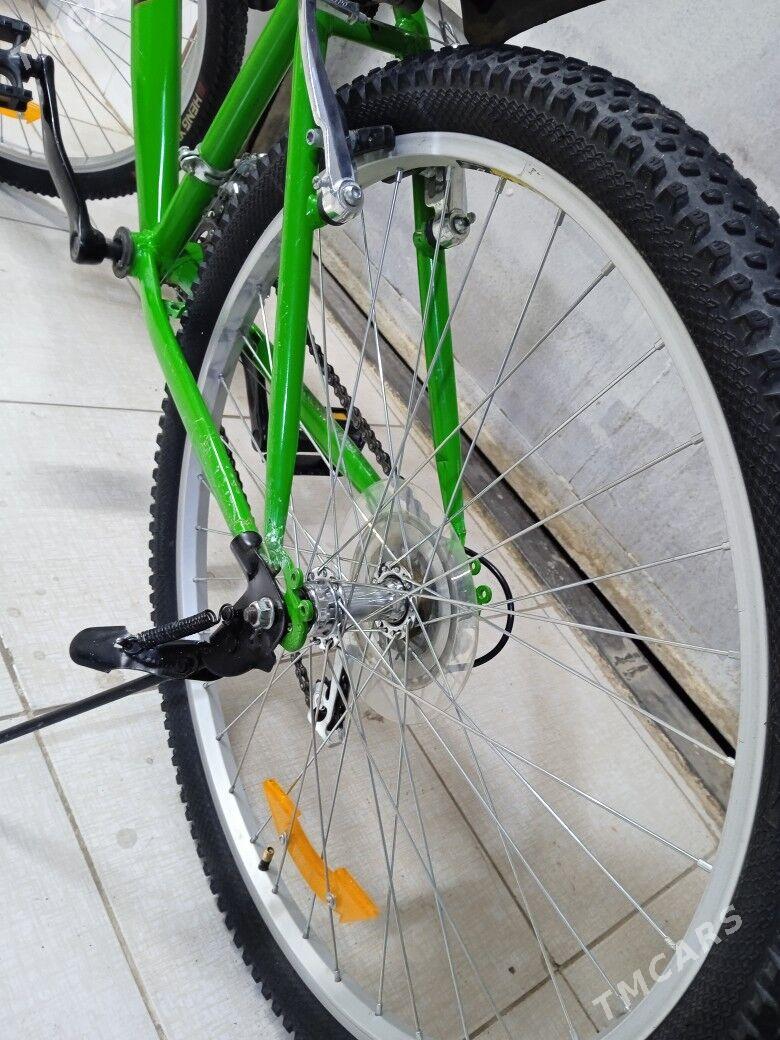 Turkmenistan Tigir - Köşi - img 3