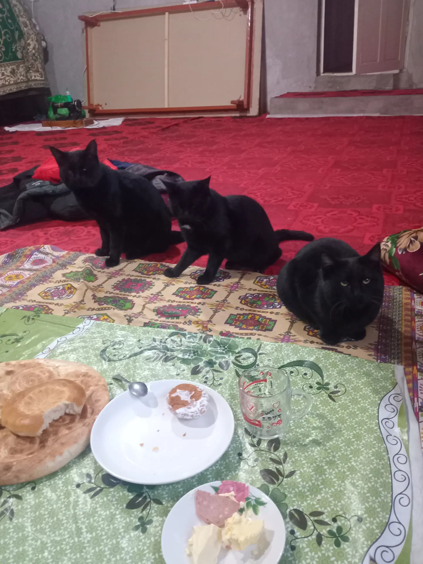 Gara pisikler - Dänew - img 7