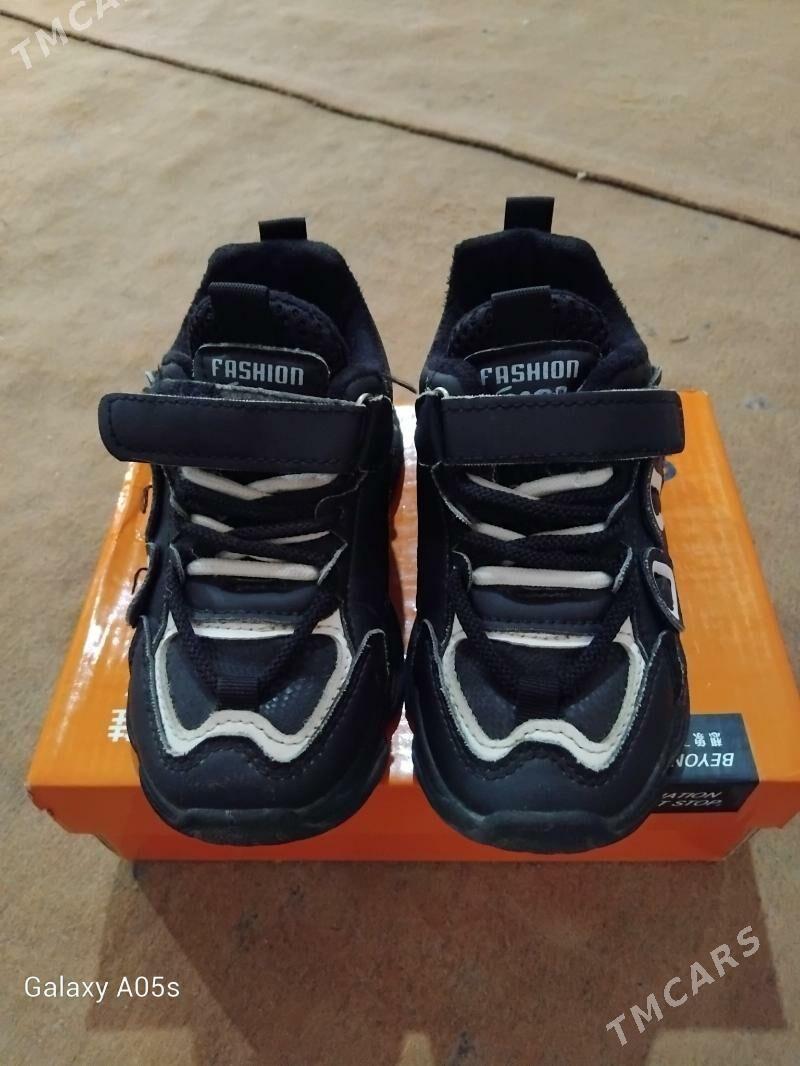 красофка зимний - Daşoguz - img 3