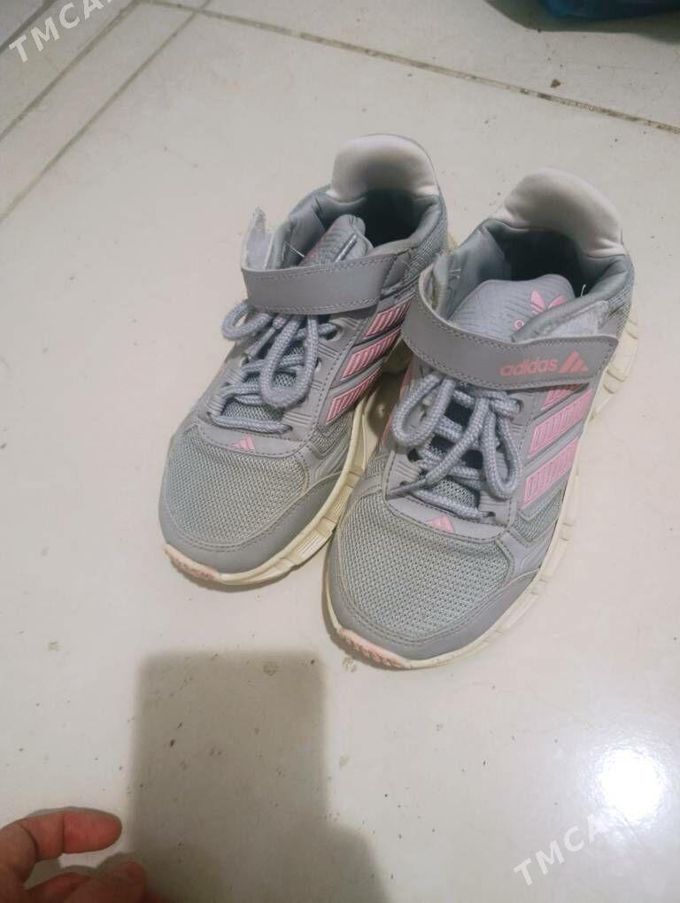 Chaga krassowka - Türkmenbaşy - img 1