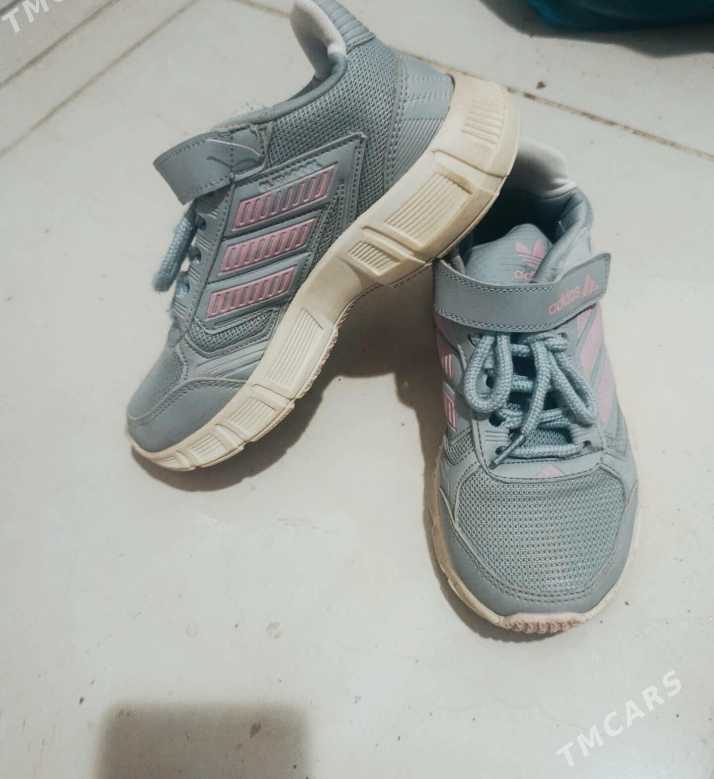 Chaga krassowka - Türkmenbaşy - img 2