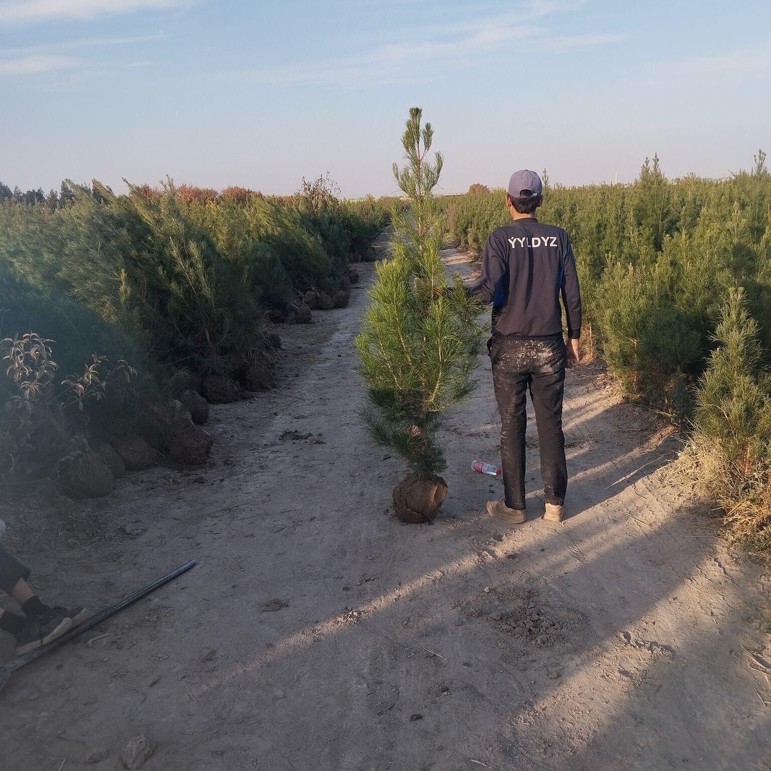 sasana tuwye - Кака - img 3