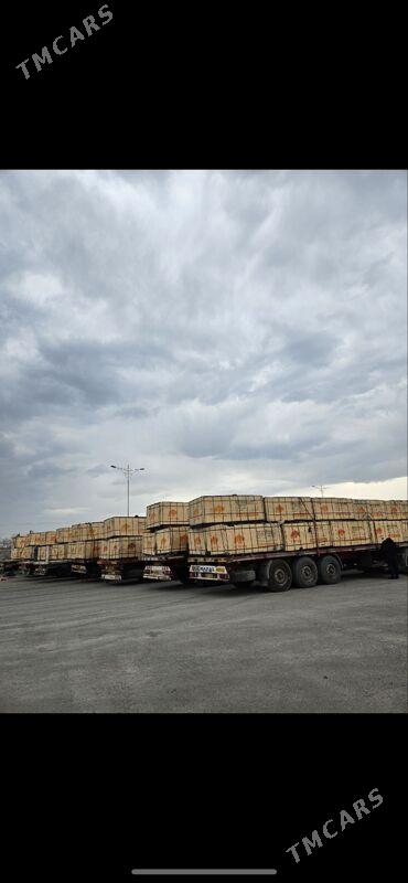 PLIMUT FIN FANERA - Тязе заман - img 4