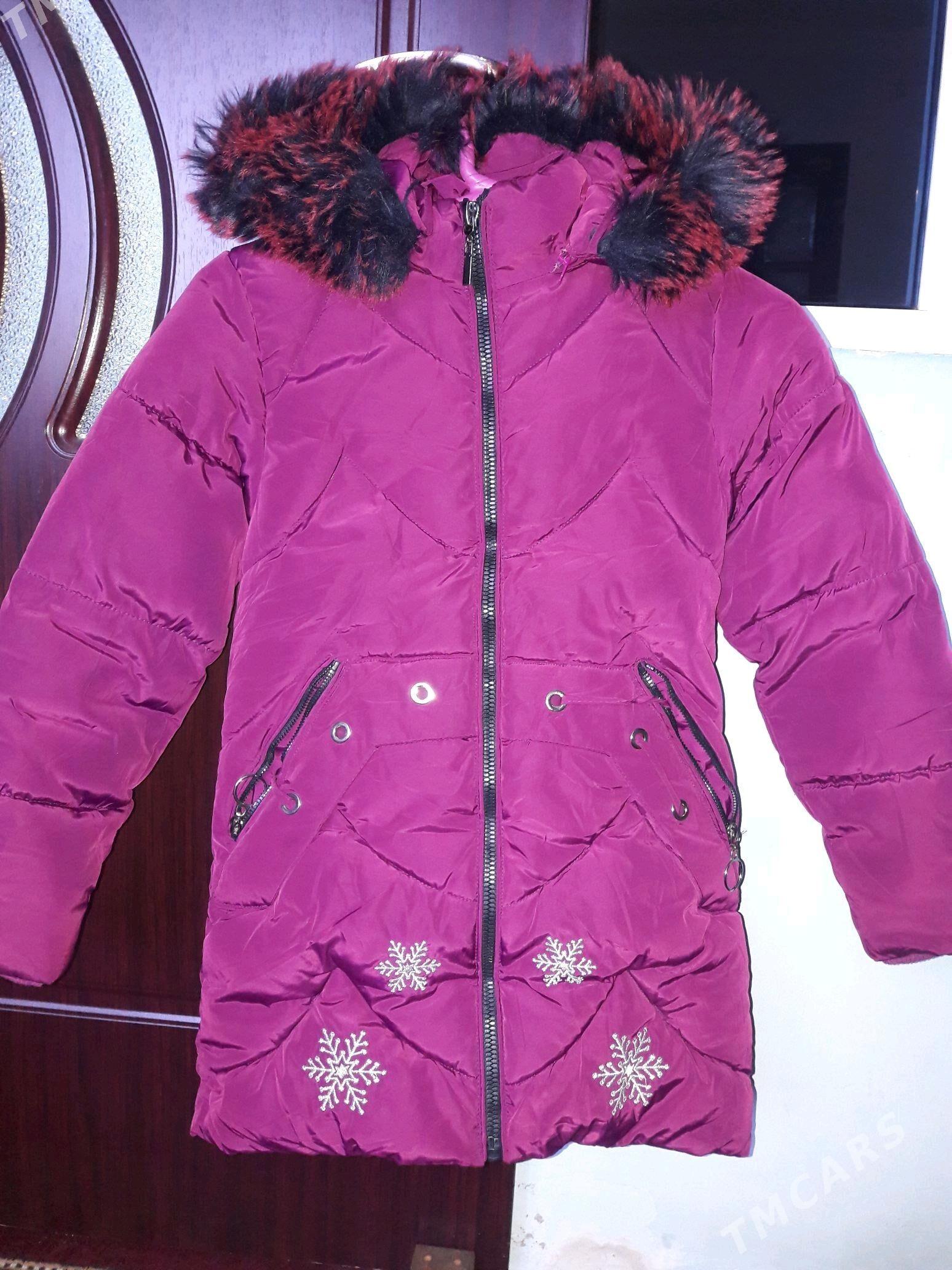 balon kurtga - Bereket - img 1