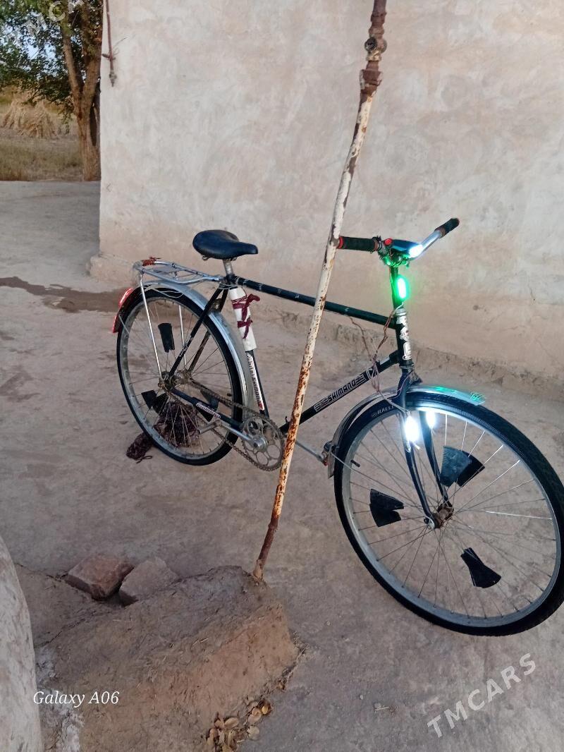 welosapet - Boldumsaz - img 4