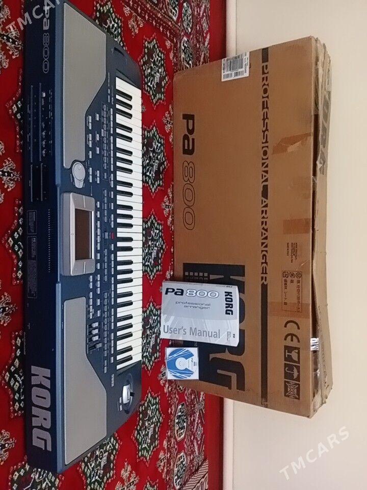 KORG PA 800 - Bäherden - img 2