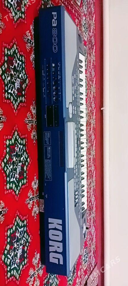 KORG PA 800 - Bäherden - img 5