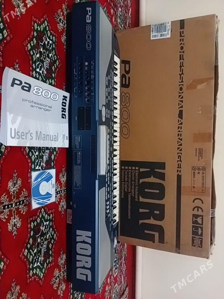 KORG PA 800 - Bäherden - img 1