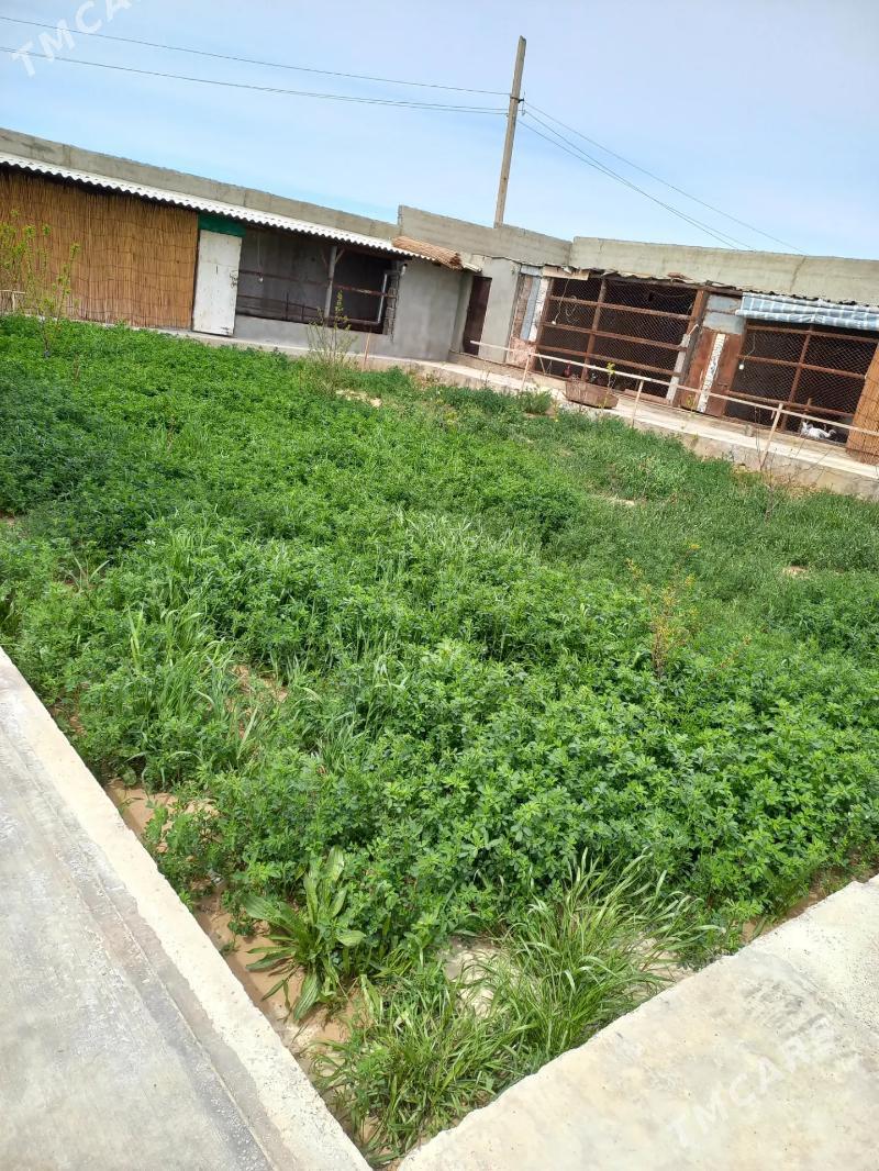 Плановый домик - Änew - img 2