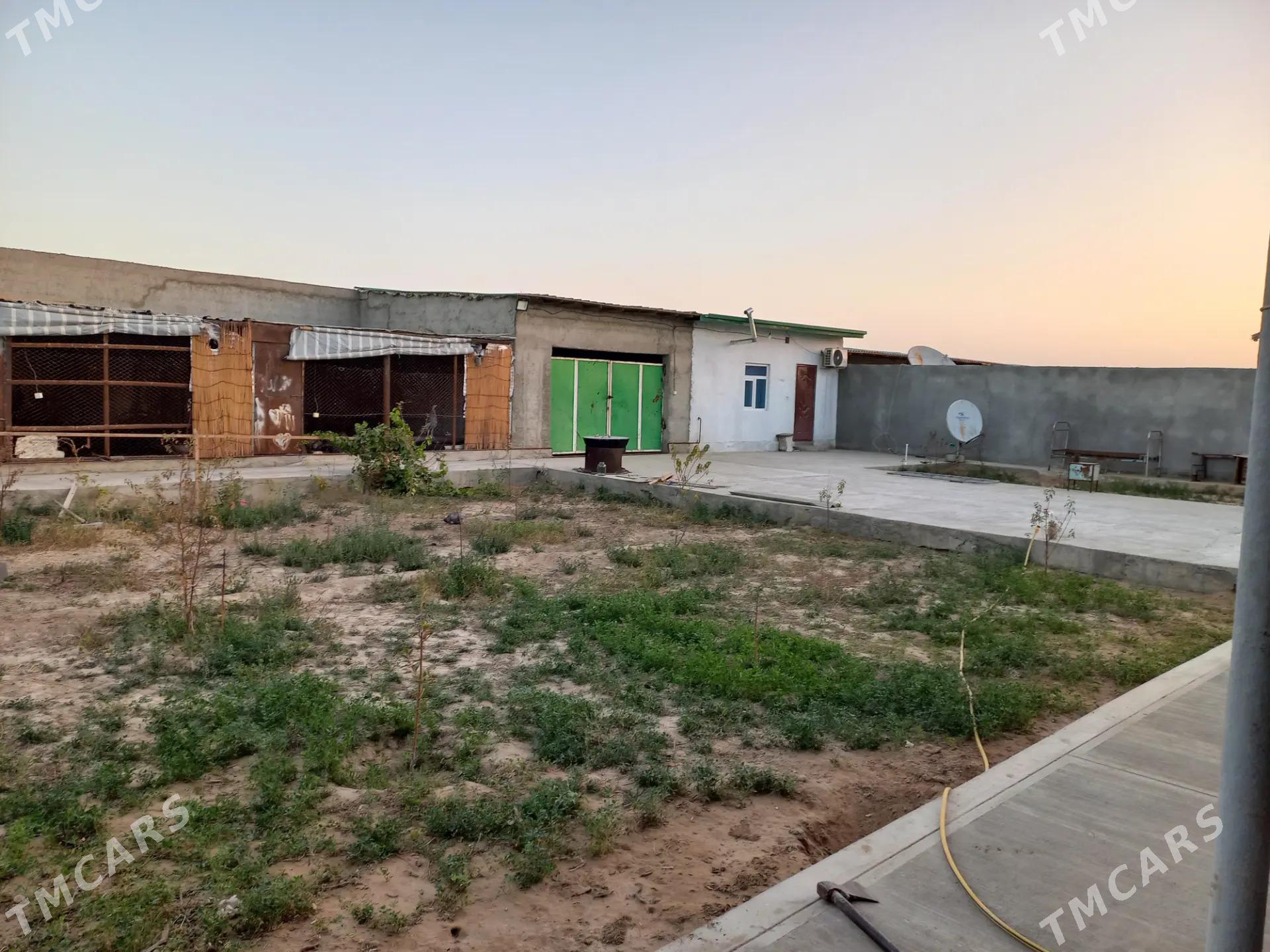 Плановый домик - Änew - img 8