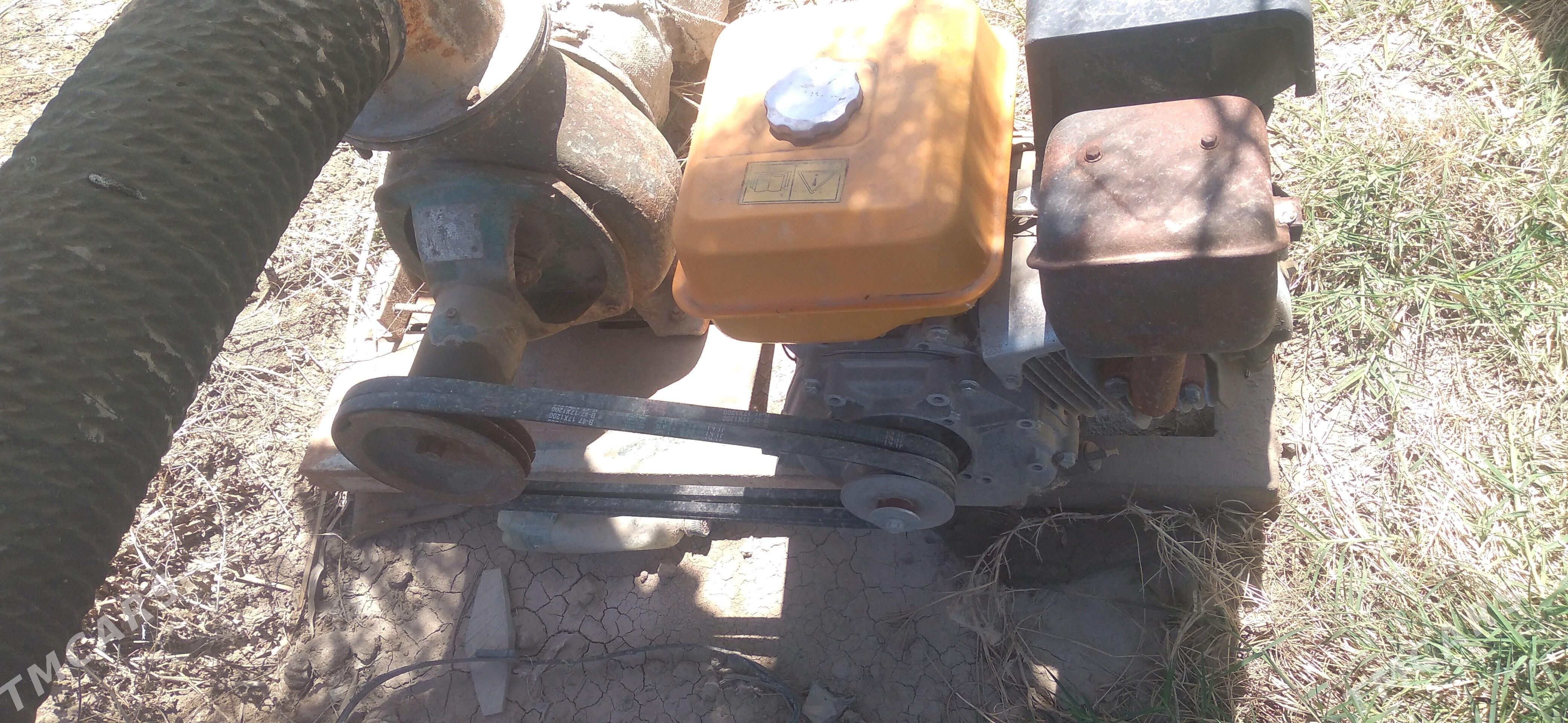 nasoz - Болдумсаз - img 2