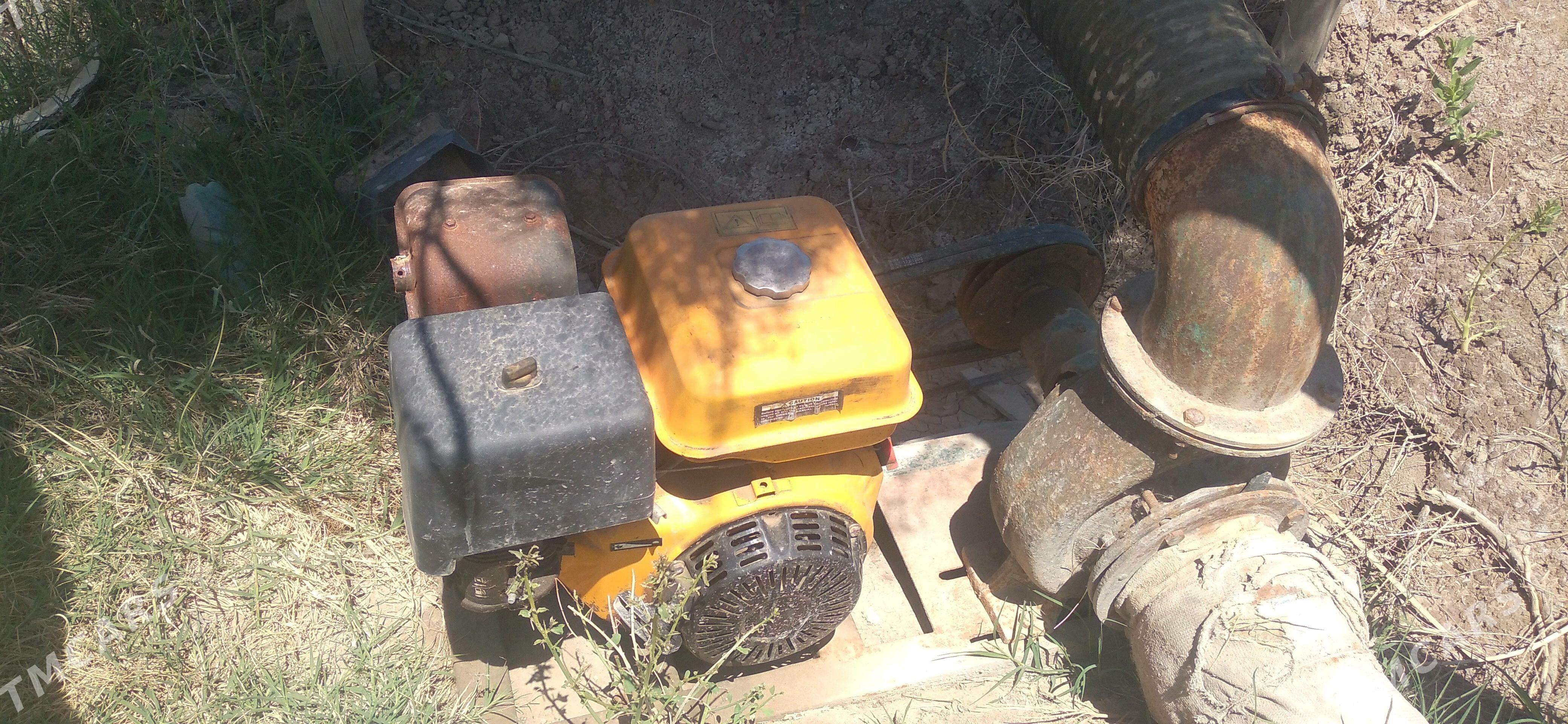 nasoz - Болдумсаз - img 3