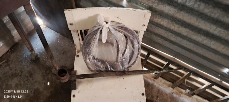 garelka - Daşoguz - img 2