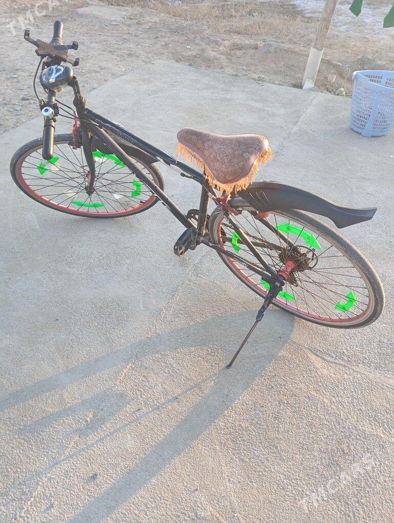 welisoped spartiwni - Sakarçäge - img 2