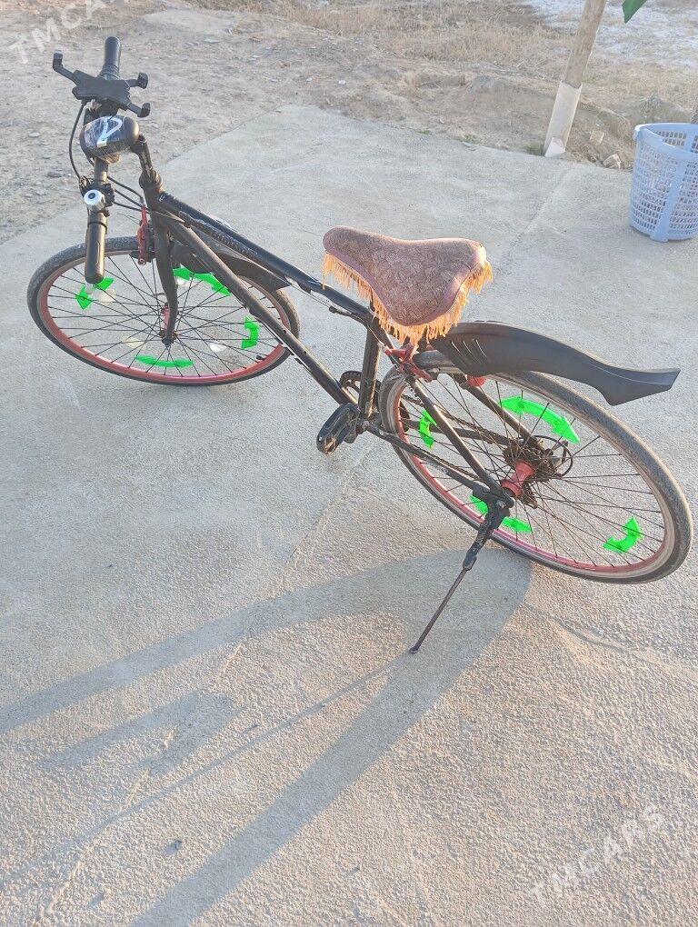 welisoped spartiwni - Sakarçäge - img 1