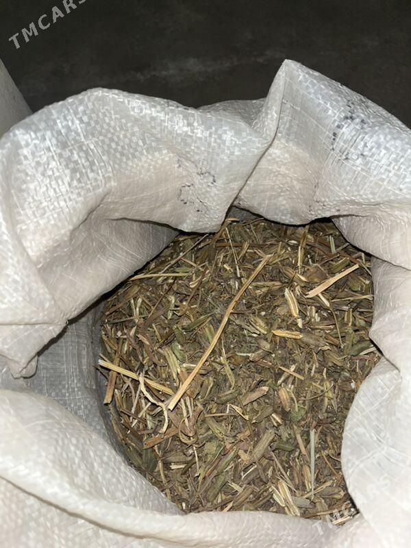 Mäşok - Ашхабад - img 2