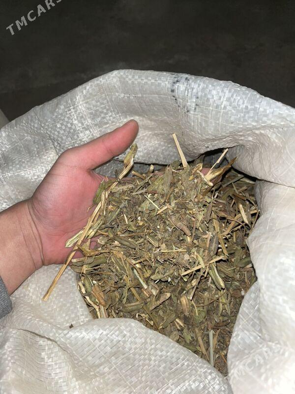 Mäşok - Ашхабад - img 4