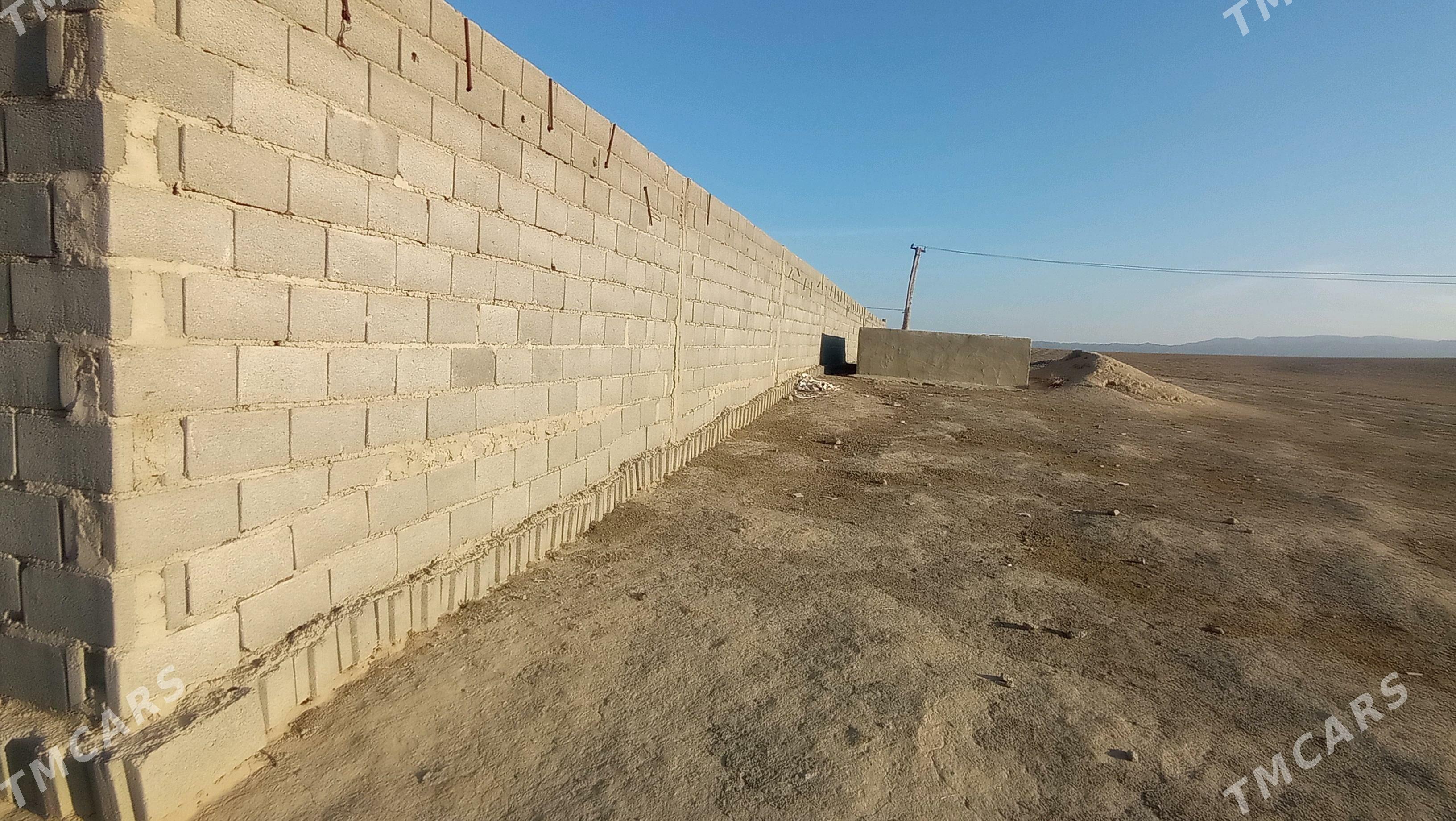 Ferma - Gyzylarbat - img 2