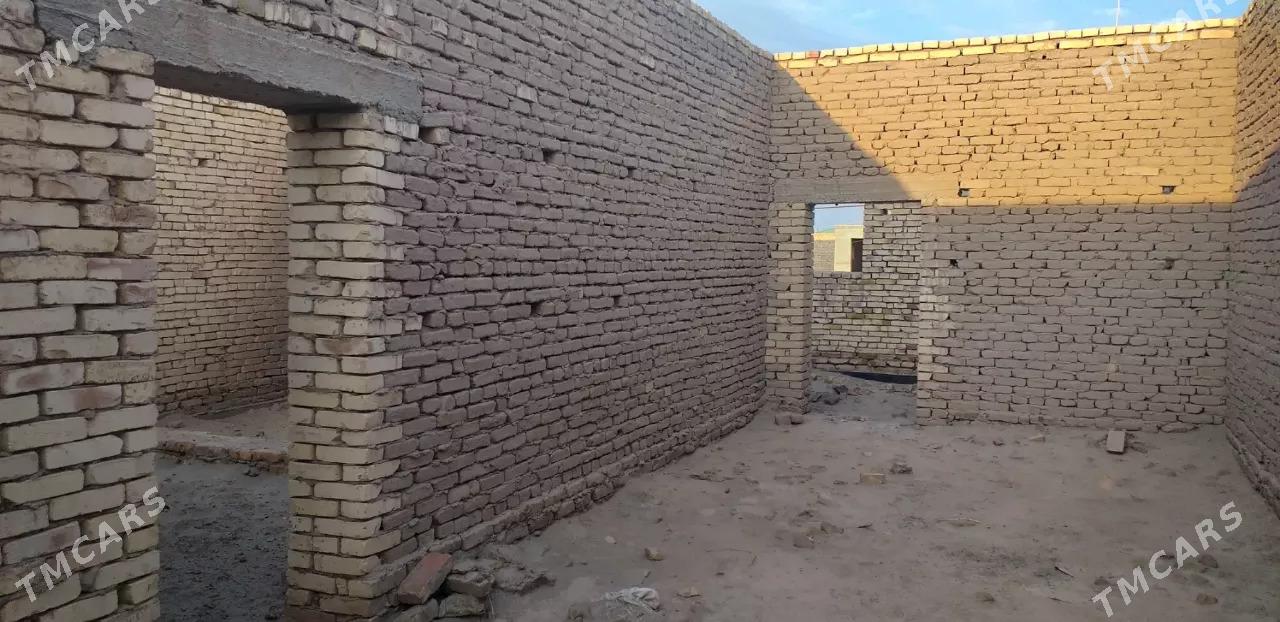 gulustanda jay - Daşoguz - img 5