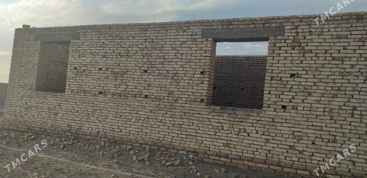 gulustanda jay - Daşoguz - img 4