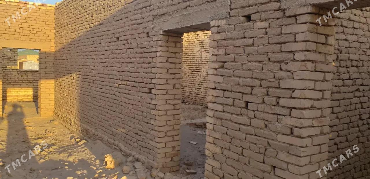 gulustanda jay - Daşoguz - img 2