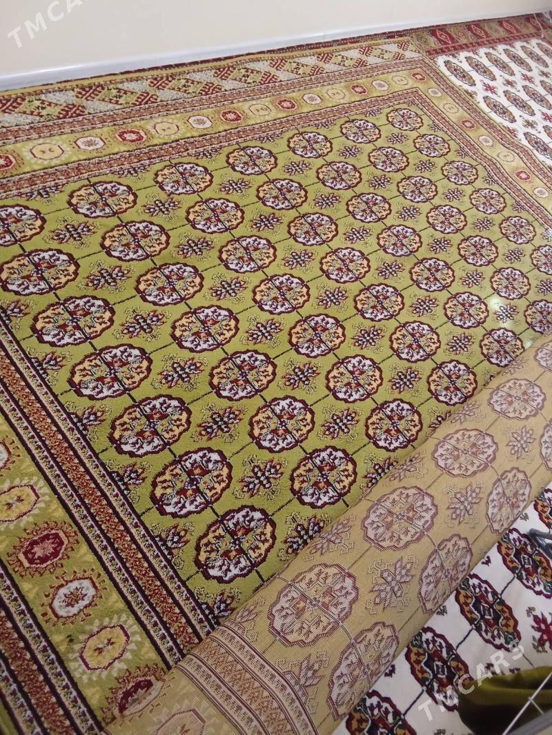 haly - Änew - img 3