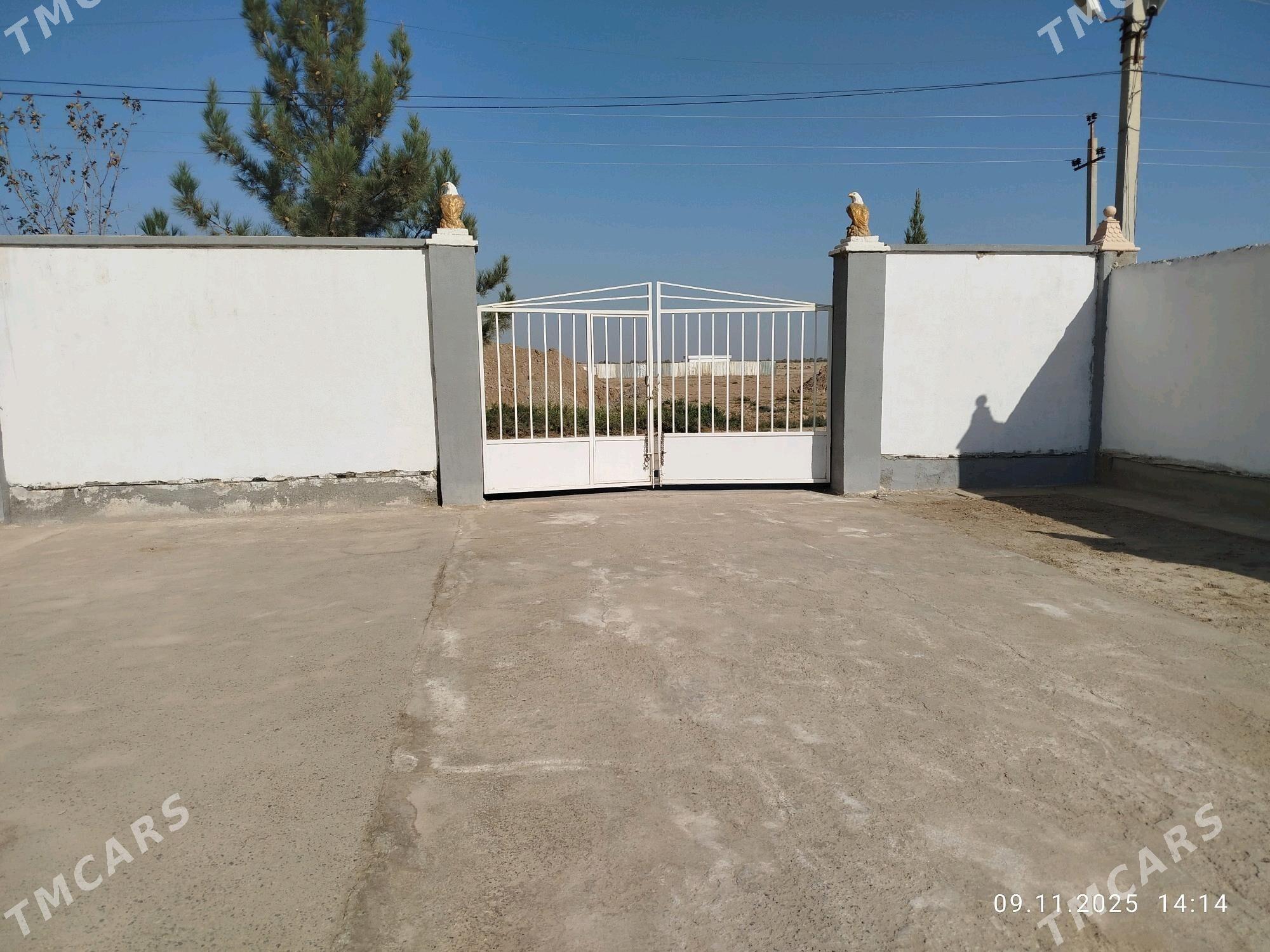 warata - Теджен - img 2