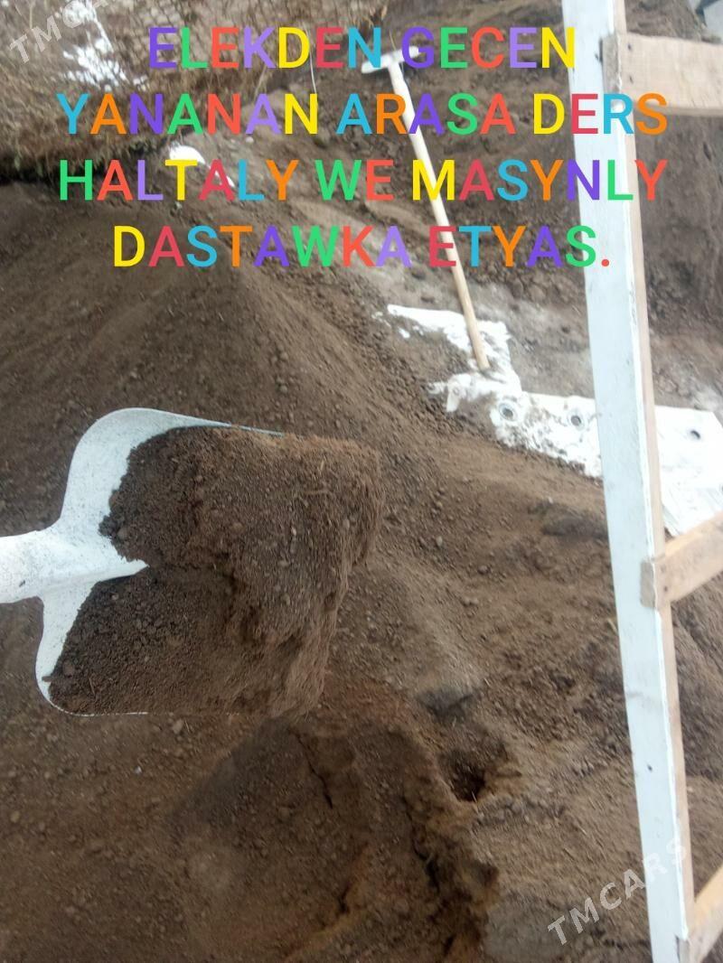 keremsit miti ders pulpa - Bedew - img 4