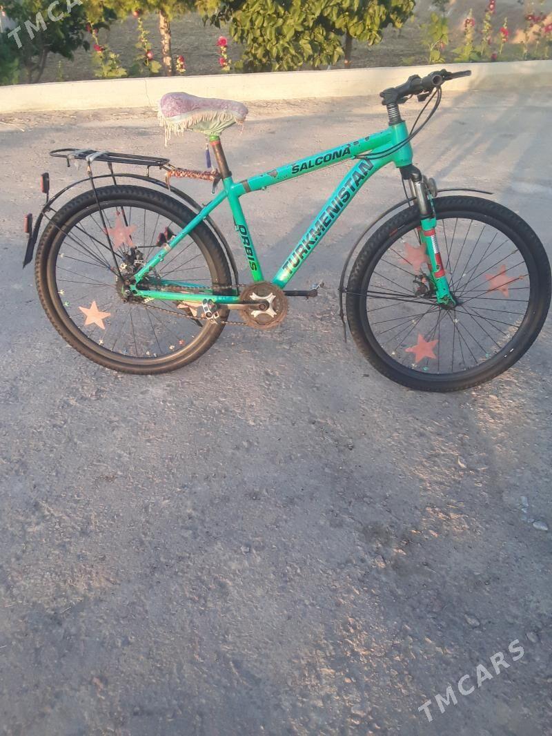 tigir - Гороглы (Тагта) - img 2