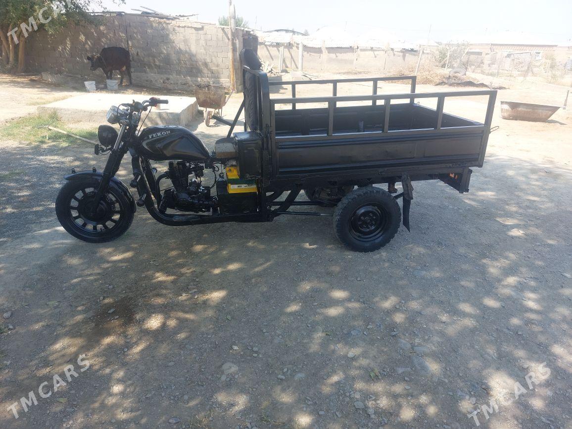 Fekon FK200-14G 2015 - 15 000 TMT - Бахарден - img 3