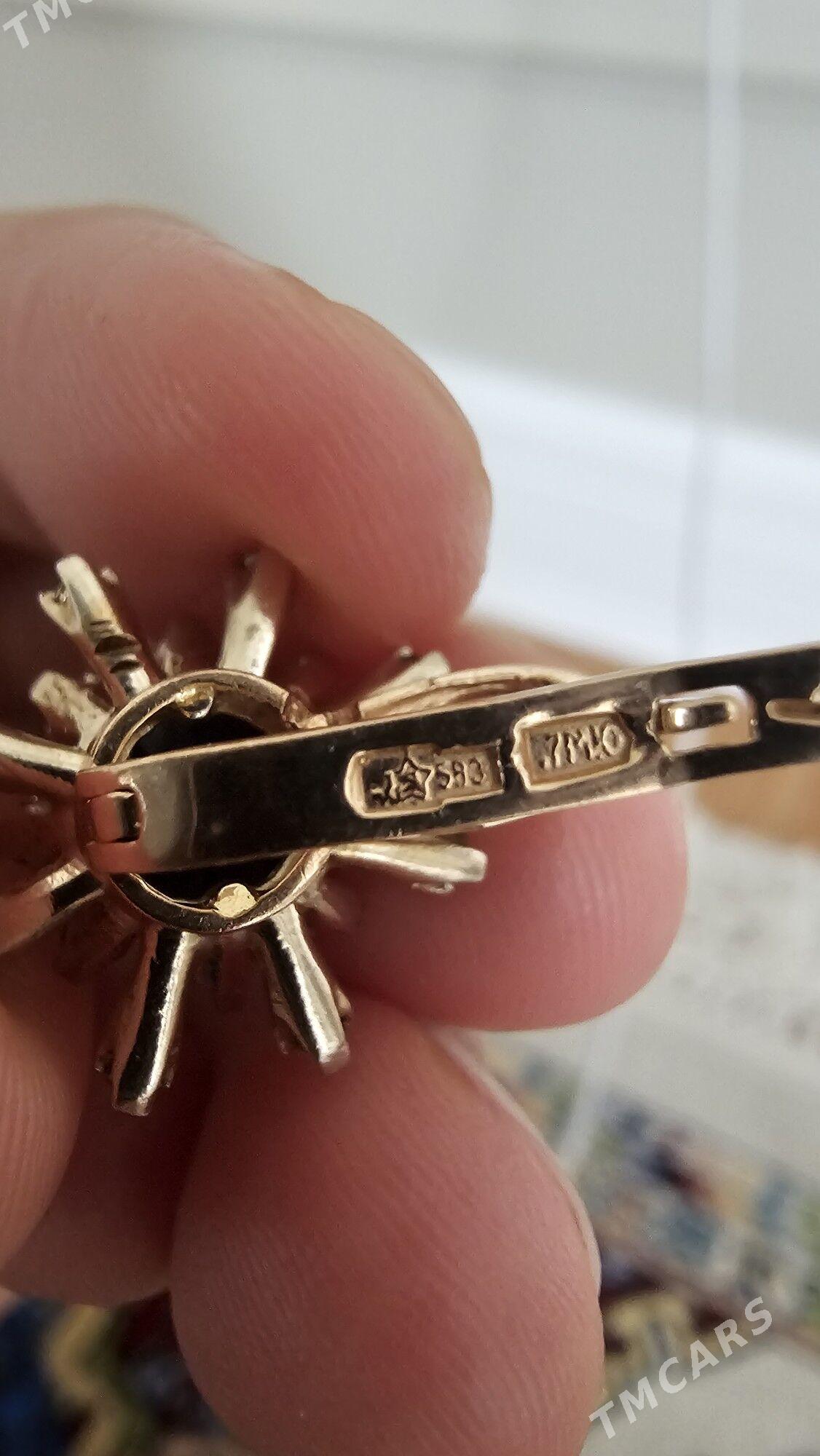 золото Gyzyl ÿerewan - 14-nji tapgyr (Sowhozny köç) - img 3