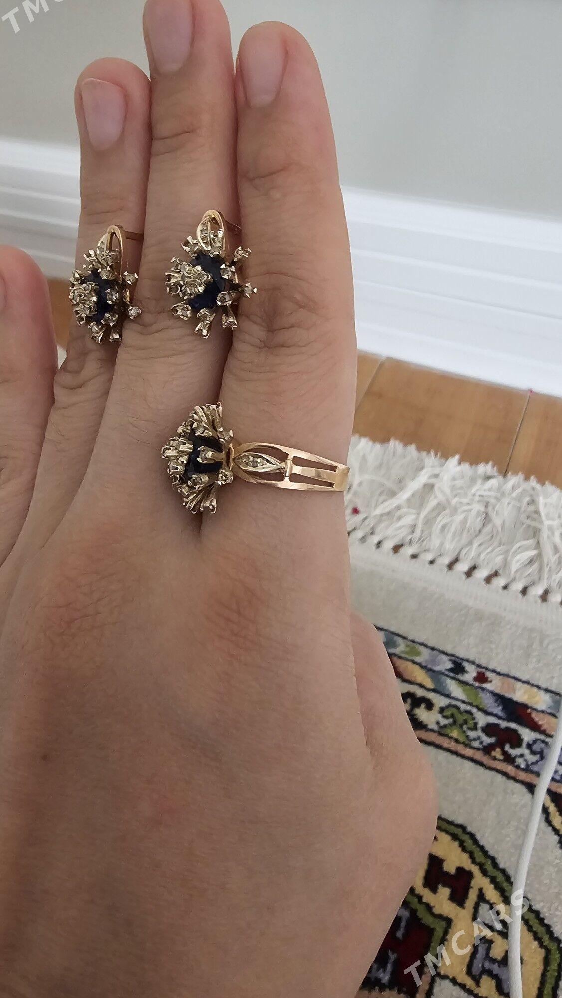 золото Gyzyl ÿerewan - 14-nji tapgyr (Sowhozny köç) - img 4