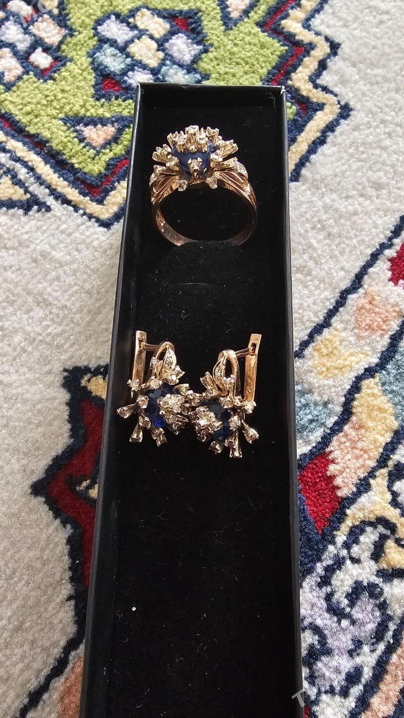 золото Gyzyl ÿerewan - 14-nji tapgyr (Sowhozny köç) - img 2