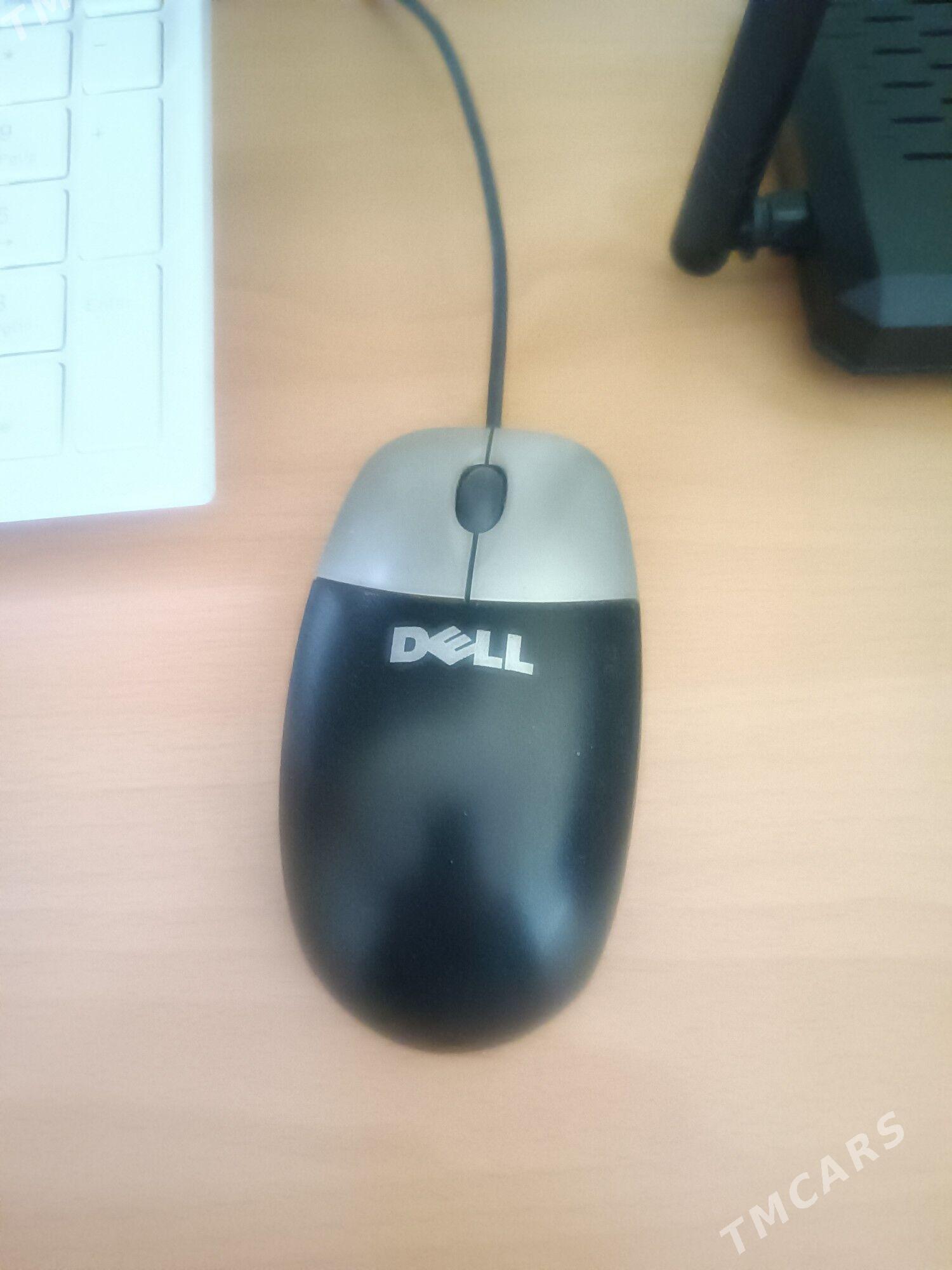 kopyuter domaşny - Кипджак - img 4