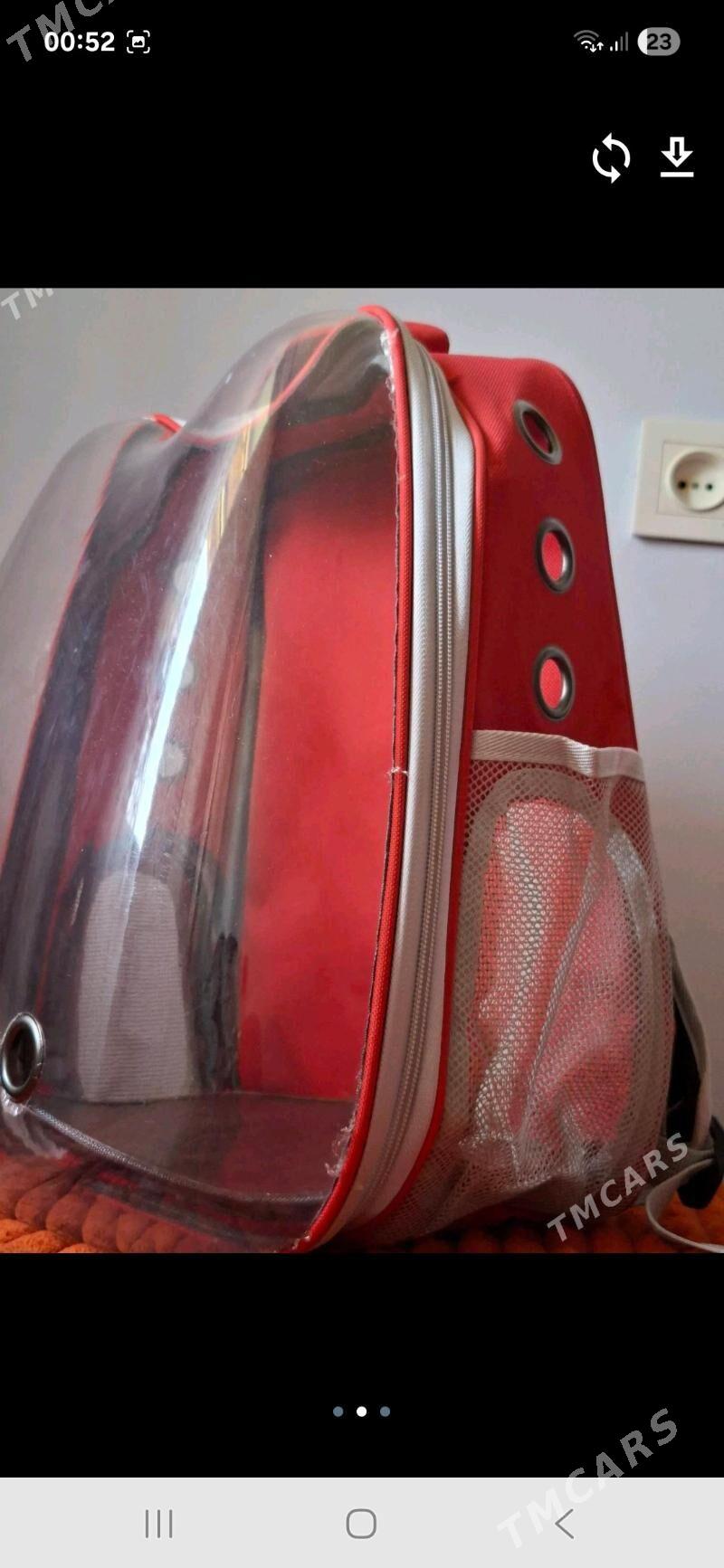 Сумка для котят и собак - Türkmenabat - img 2