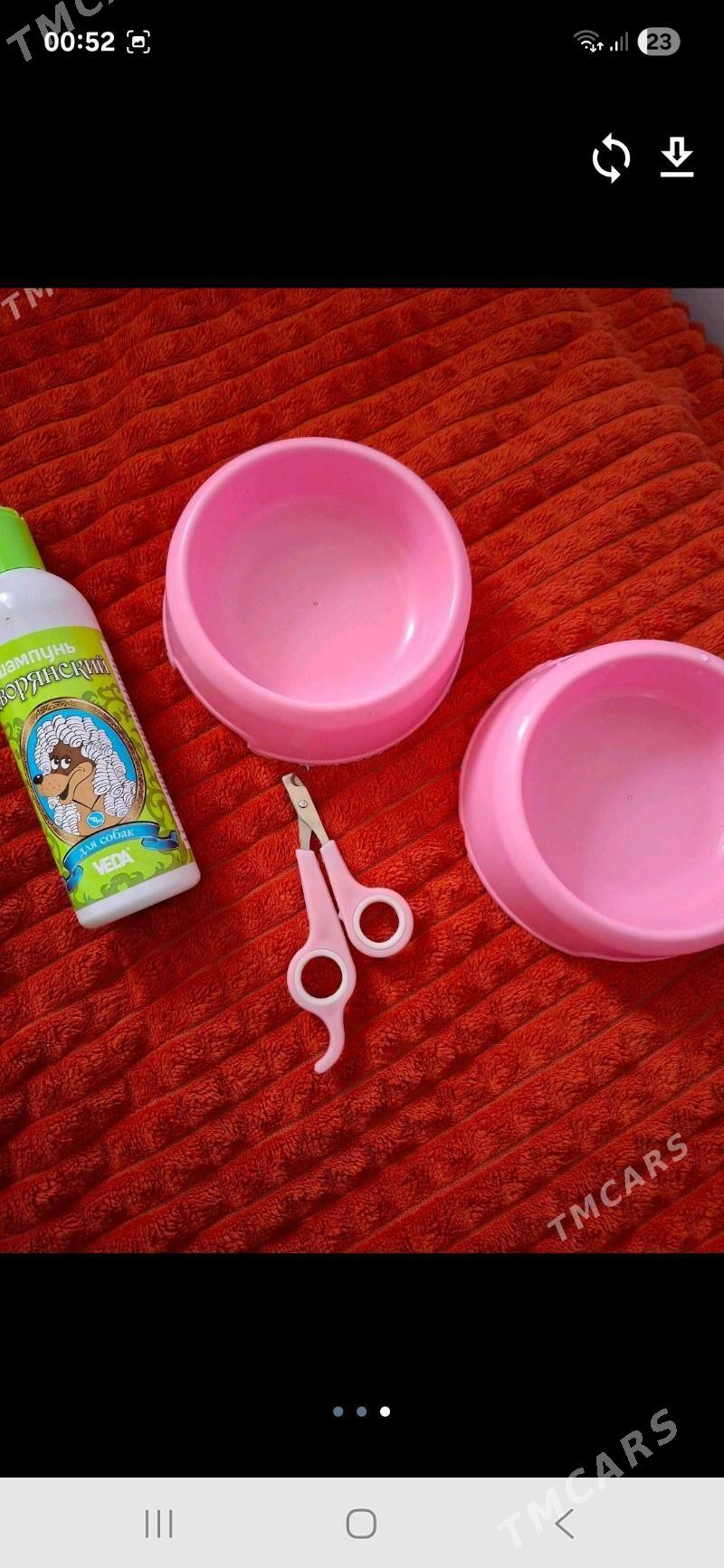 Сумка для котят и собак - Türkmenabat - img 3