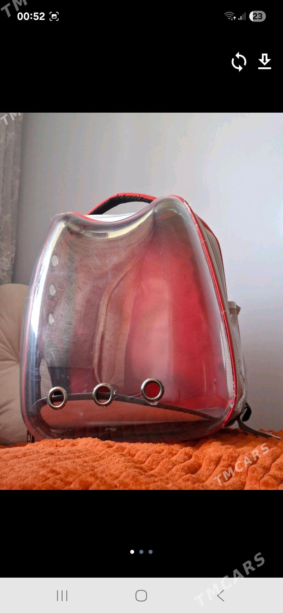 Сумка для котят и собак - Türkmenabat - img 1