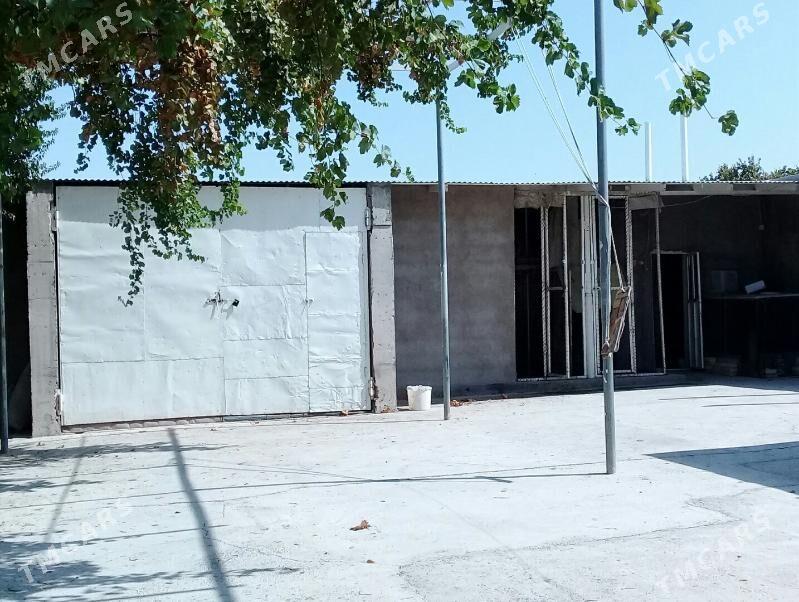 Satlyk jaý - Кака - img 2