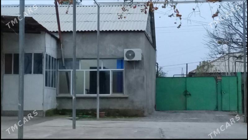 Satlyk jaý - Кака - img 4