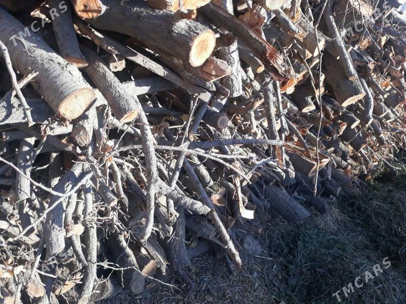 Odun mangal - Saýat - img 3